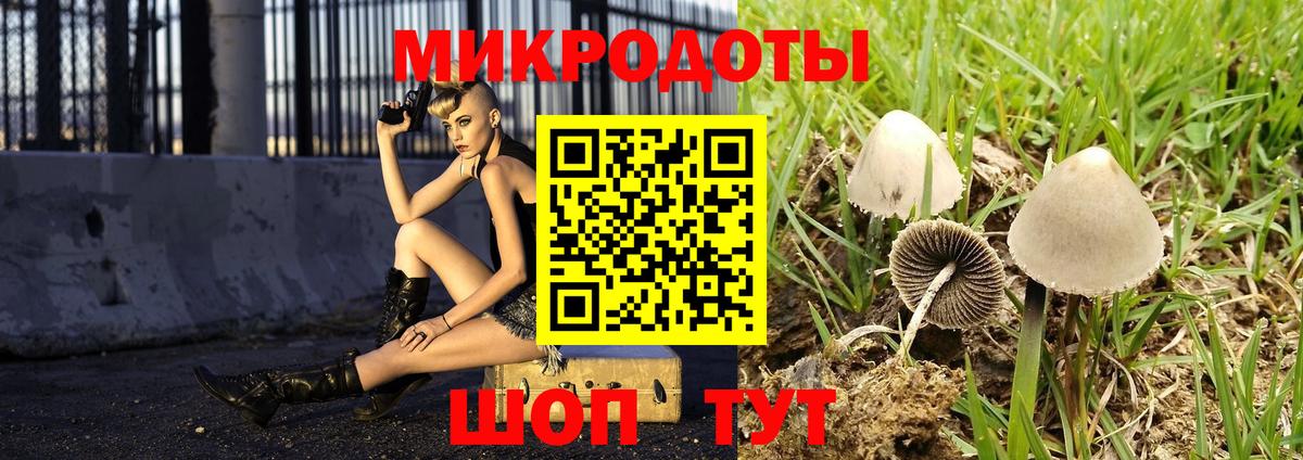 Галлюциногенные грибы мицелий  Вход с VPN  Старая Купавна 